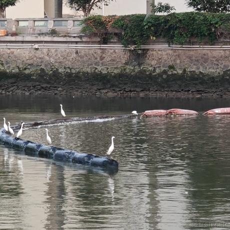 银河修理员于2023-05-24 12:31发布的图片