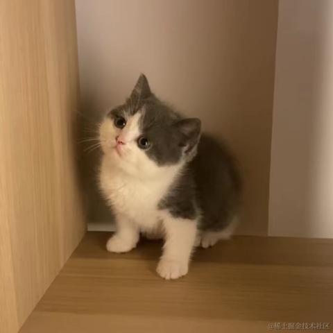 躺平的_韭菜于2022-12-10 22:01发布的图片