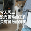木行于2022-02-23 13:52发布的图片