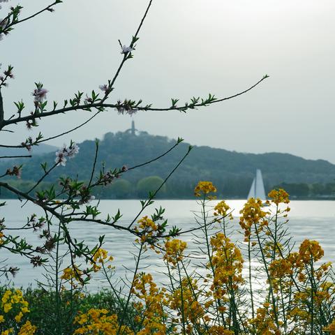 优秀稳妥的金枪小魔王于2023-03-27 10:41发布的图片