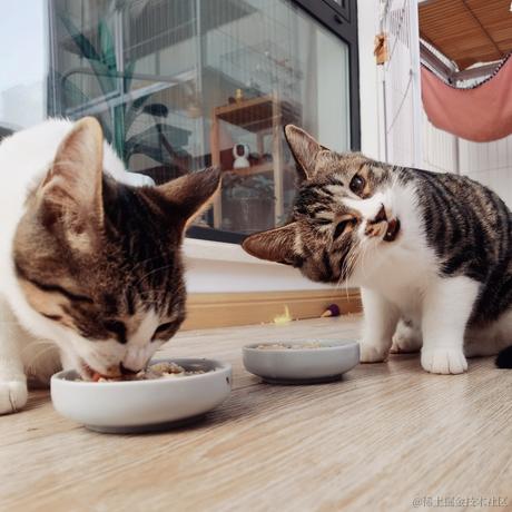 熙宁于2022-04-15 09:00发布的图片