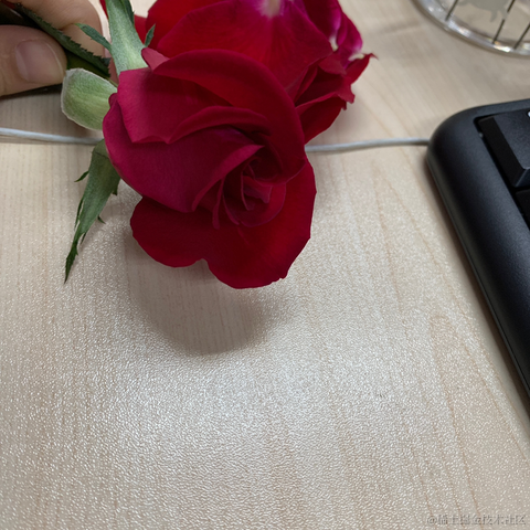 屿My于2021-03-12 16:06发布的图片