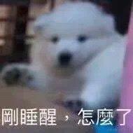 加杨桃干的奶淇琳于2022-11-30 00:27发布的图片