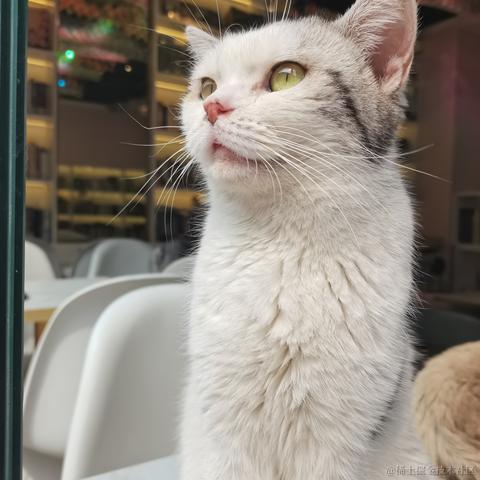 LINer于2023-04-10 23:21发布的图片