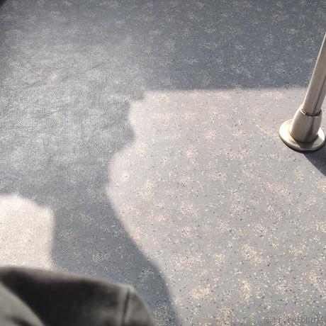 小小小伞于2022-11-15 14:48发布的图片