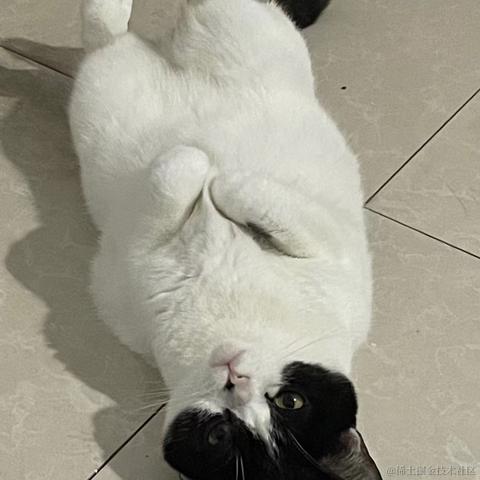 Sep_29于2021-11-17 11:43发布的图片