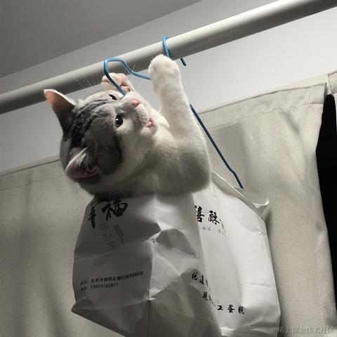 LZ_James于2021-09-21 23:16发布的图片