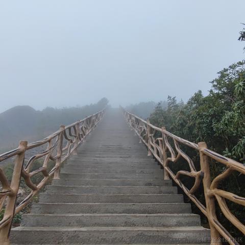 脆弱杨桃干于2022-11-09 10:30发布的图片