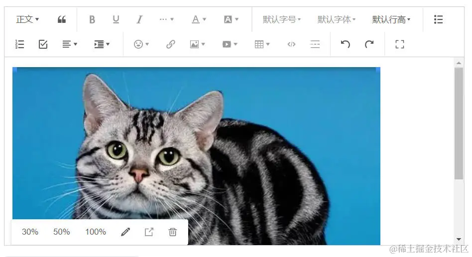 cat.jpg