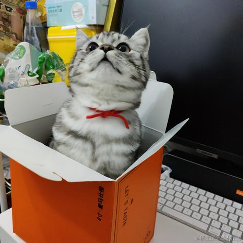 小鲁班的猫于2023-02-07 09:18发布的图片