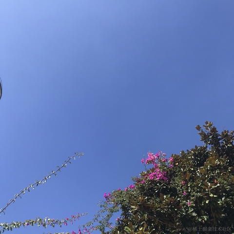 天水星河于2022-11-20 14:34发布的图片