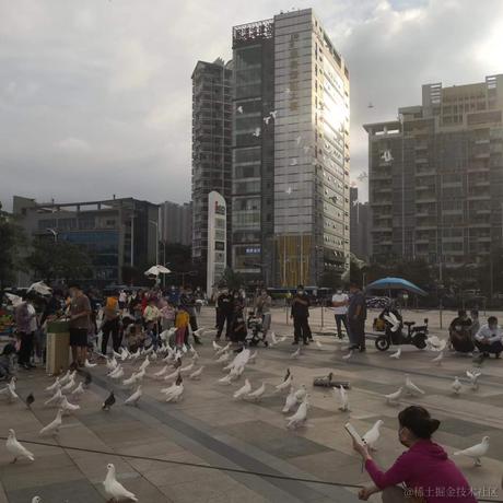 二吾二木于2022-11-27 17:57发布的图片