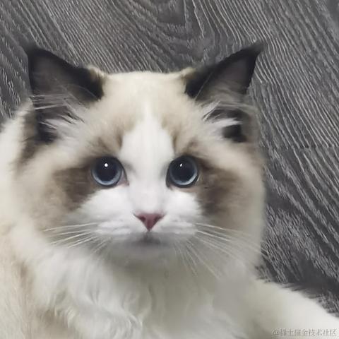 梦逸于2023-12-05 09:39发布的图片