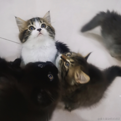 破败于2021-08-13 09:57发布的图片