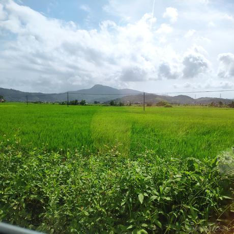 煎饼然子于2022-11-15 09:18发布的图片