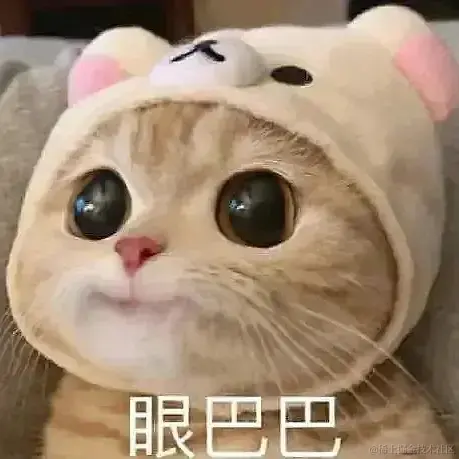 采黎于2023-03-14 16:11发布的图片