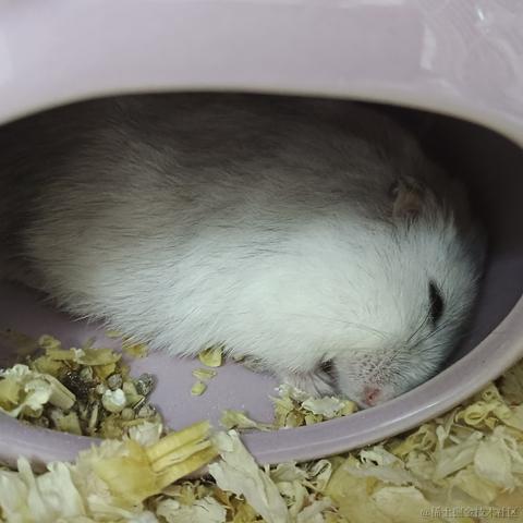 敲敲敲敲暴你脑袋于2023-11-11 13:52发布的图片