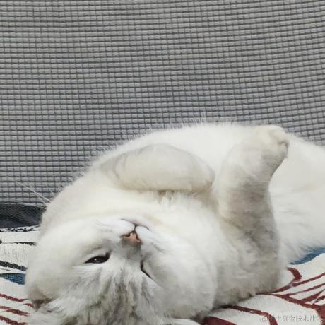 叨叨呀于2022-04-10 09:41发布的图片