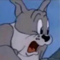 才不是顶碗人于2022-11-21 21:09发布的图片