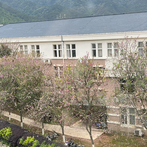 秋秋11于2023-04-28 10:34发布的图片