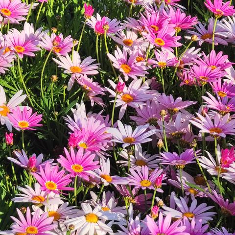 denki白蘭于2022-11-26 11:35发布的图片