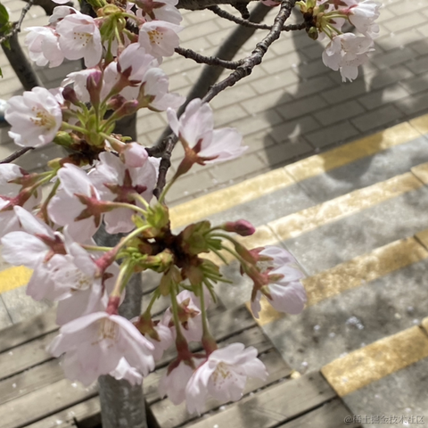 颜咚咚于2022-04-08 11:13发布的图片