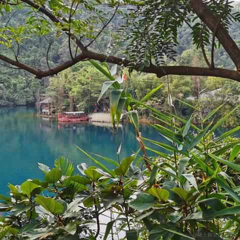 Wei于2022-11-23 23:35发布的图片