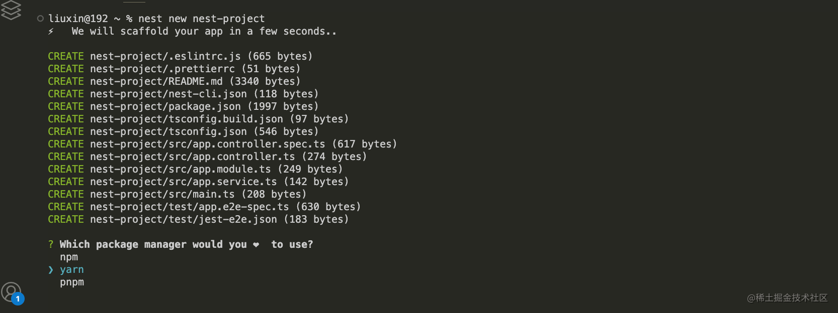 Nestjs成长足迹（一）：Nest介绍、swagger的使用 掘金