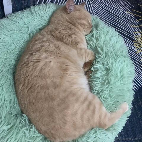 ByteFlow于2022-04-06 17:31发布的图片