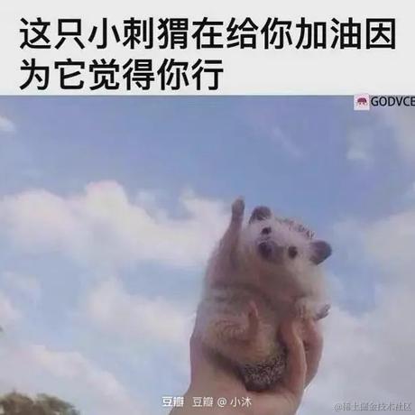 YMing于2021-07-21 08:50发布的图片