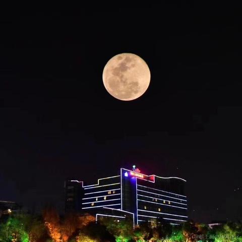 养猪场首席大厨于2020-10-08 17:01发布的图片