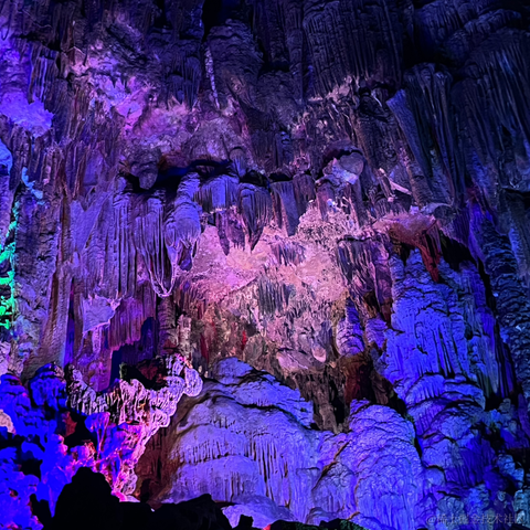 草莓酱于2023-08-22 10:00发布的图片