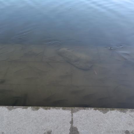 咔咔咔啦于2022-11-21 11:52发布的图片