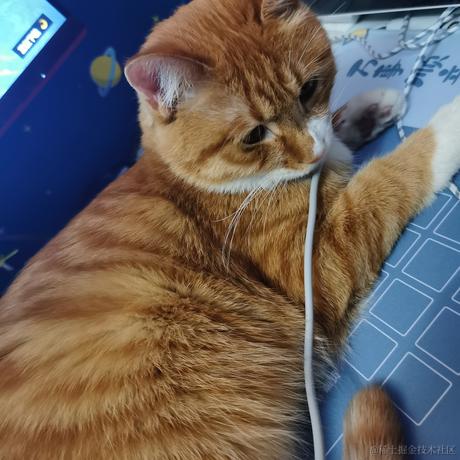 柒弎于2022-11-16 19:58发布的图片