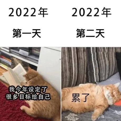 bug菌于2022-01-05 14:46发布的图片