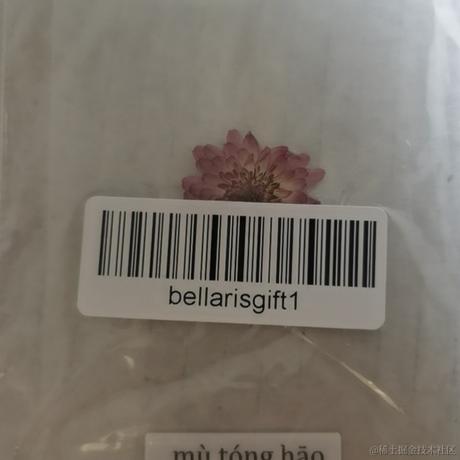 贝拉兔饲养员于2022-11-15 01:11发布的图片