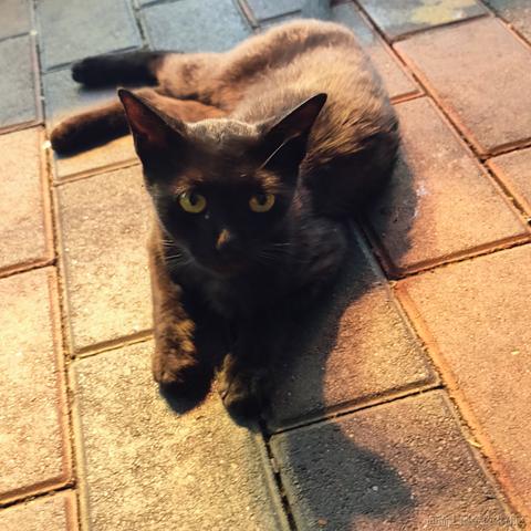 海底的珊迪于2023-06-16 09:31发布的图片