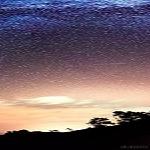 森林里的麋鹿于2021-04-24 10:48发布的图片