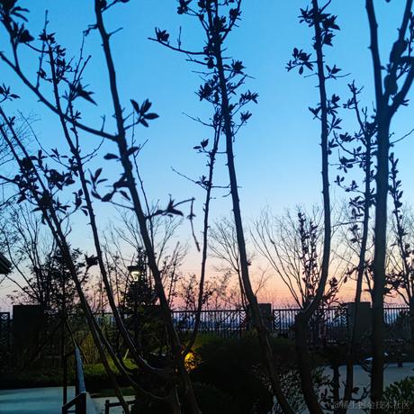 小温同学的账号于2022-04-16 19:04发布的图片