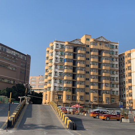 林_小猫于2020-11-27 11:49发布的图片
