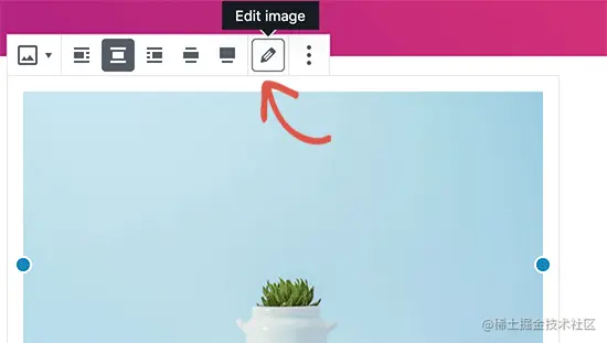 Alt属性 vs 图片说明（Caption）