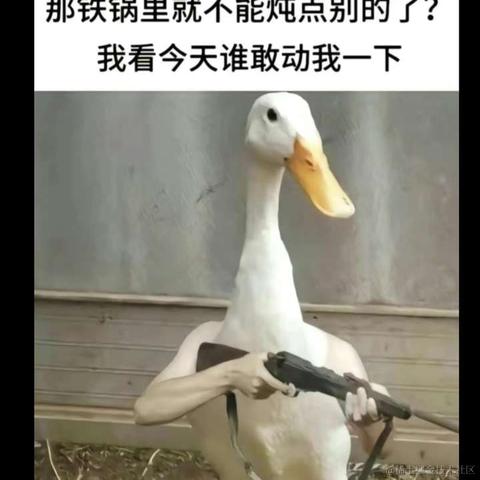 笑玛戈于2024-06-22 11:16发布的图片