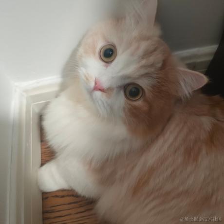 贝拉拉是我的超人于2022-11-15 10:47发布的图片