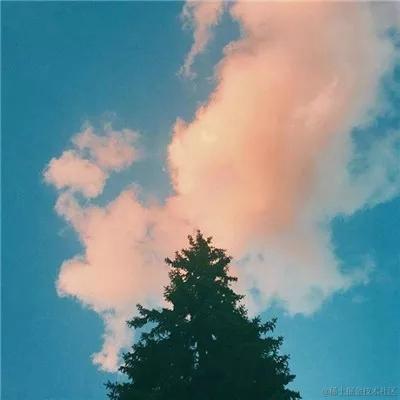 Fahaxiki_于2023-05-08 17:59发布的图片