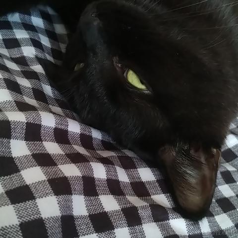 忆夕晖于2021-12-31 16:38发布的图片