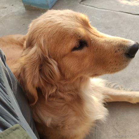 保安小胡于2022-11-21 13:48发布的图片