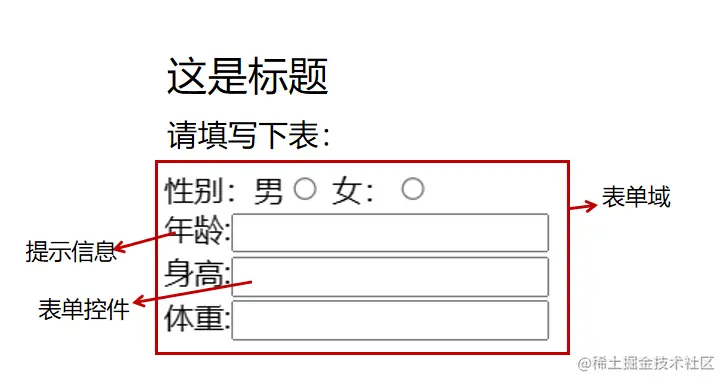 表单组成.png