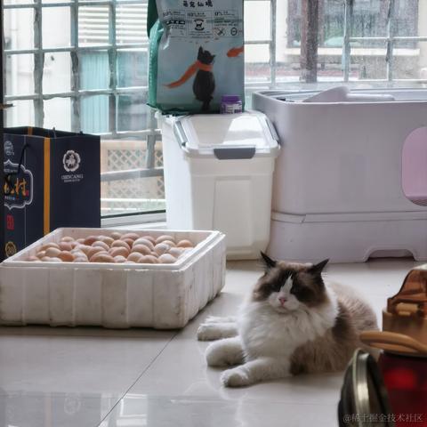 烤肉电线杆于2022-12-13 21:01发布的图片