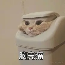 脑壳疼.jpg