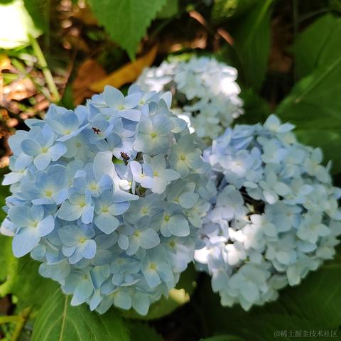 Sarah_于2024-05-17 10:12发布的图片